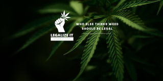 Marijuana Legalization and Regulation