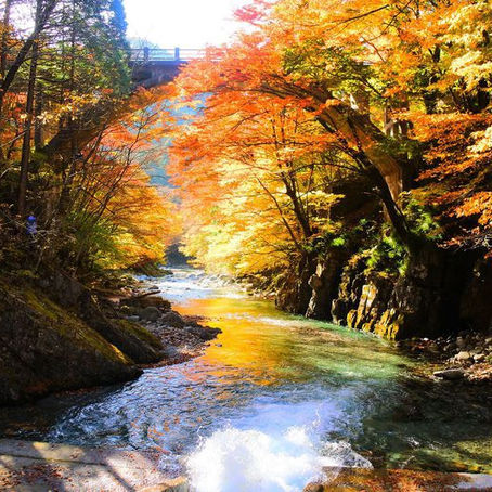「ふんどし日和」大芦峡谷 栃木県