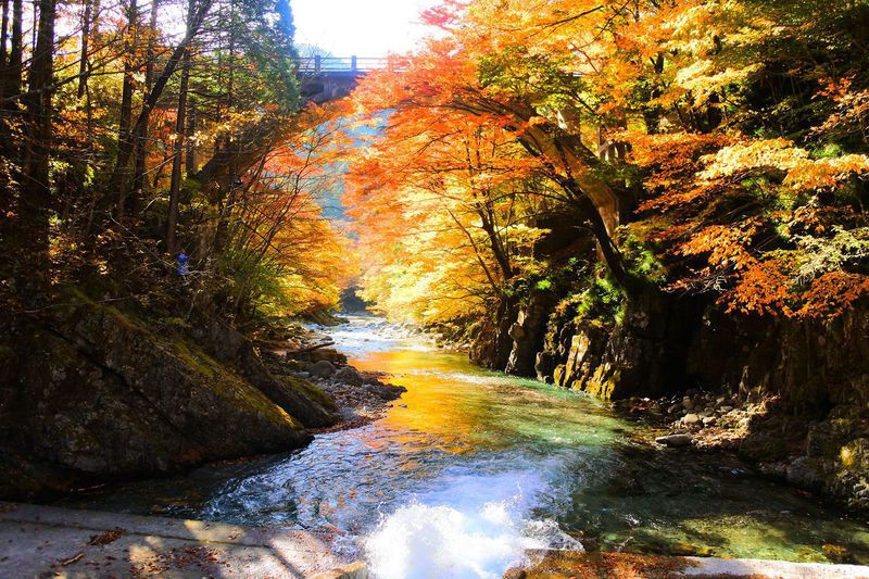 「ふんどし日和」大芦峡谷 栃木県