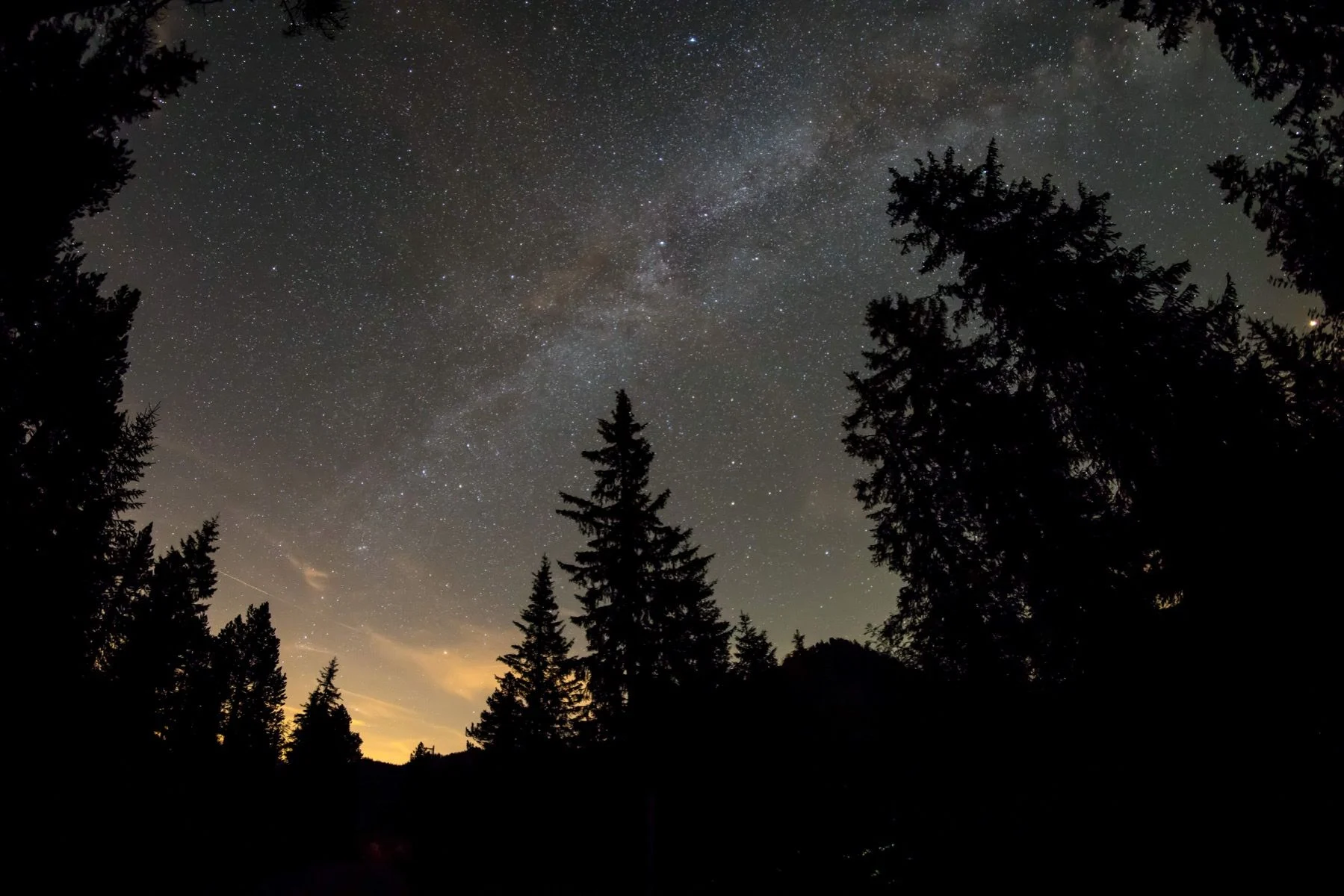 Conférence - Des lumières dans la nuit