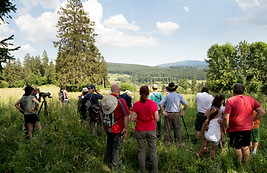 Sortie guidées sur les rapaces du Haut-Doubs