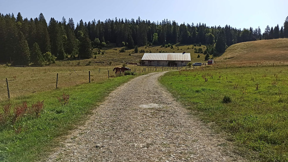 Pré-bois, patrimoine naturel et historique