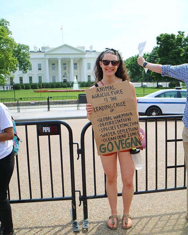 D.C. Climate Change March - April 2017