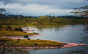 arusha-momela-lakes.jpg