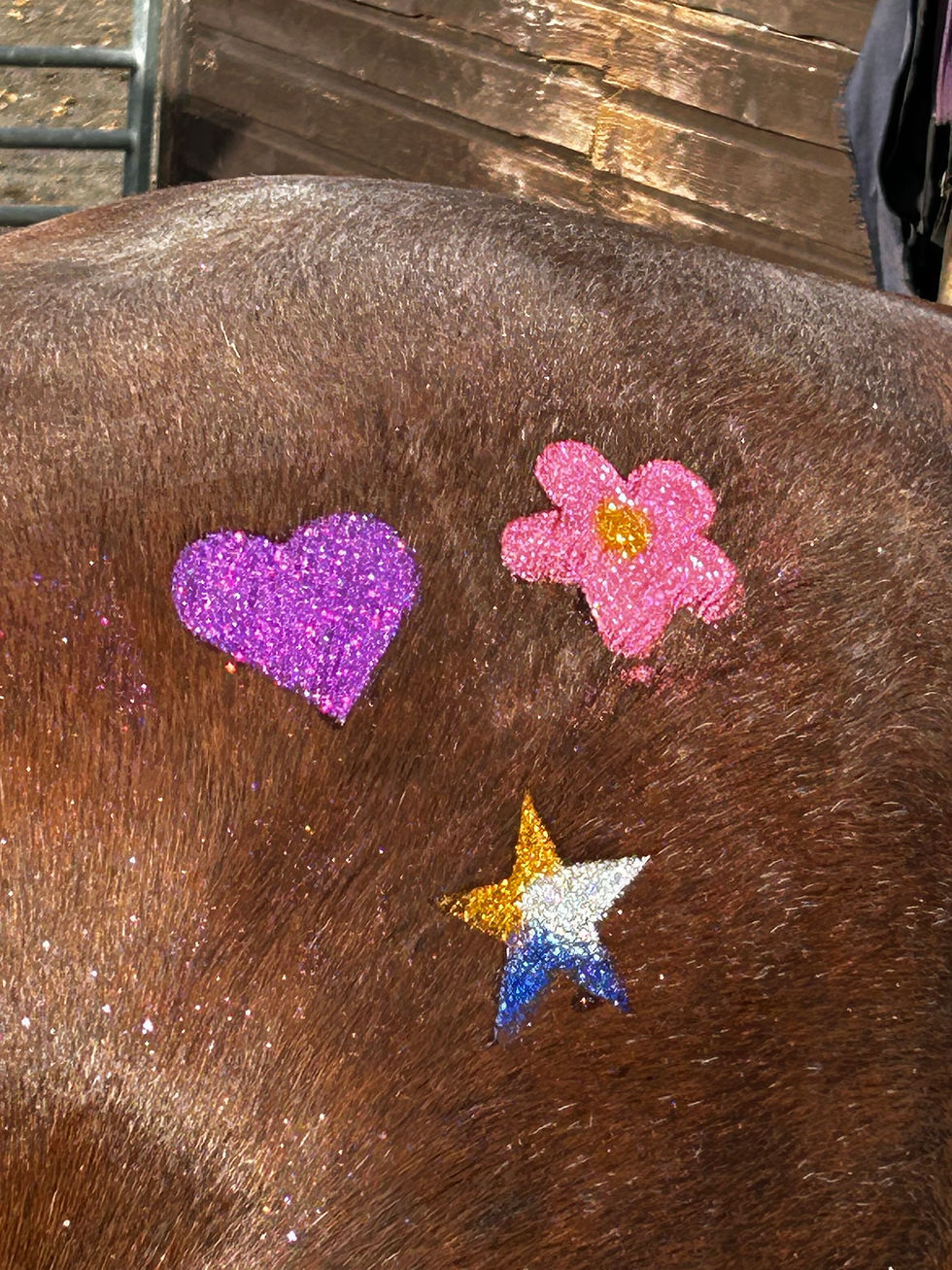Thumbnail: Unicorn Stencil Kit (4)