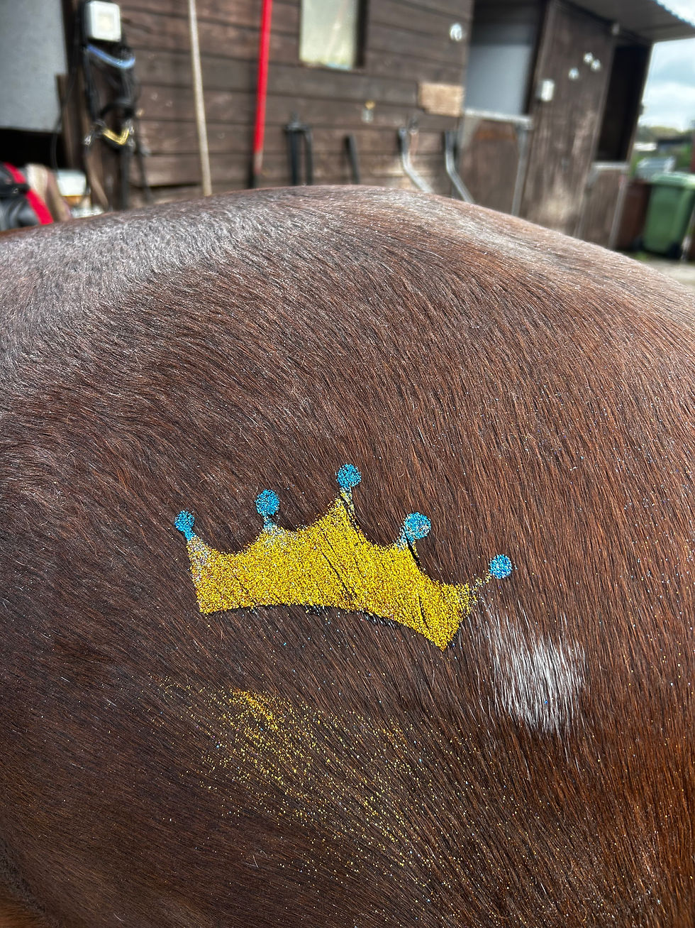 Thumbnail: Princess Stencil Kit (9)