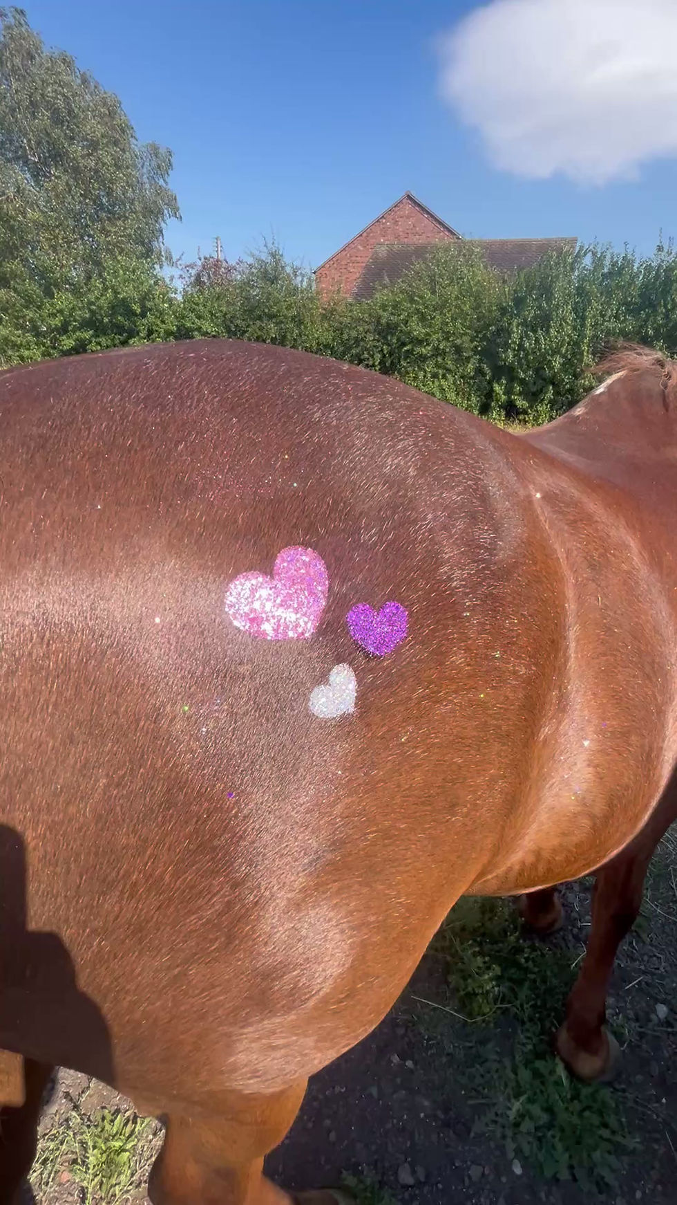 Thumbnail: Unicorn Stencil Kit (4)