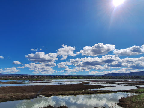 Unforgettable Bike Tours in Koper: Discover the Best Trails and Rentals