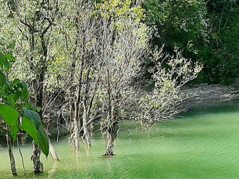 Famous Lake in Slovenia: Discover the Hidden Gem of Vanganel