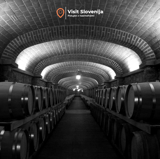 Top 5 Must-Visit Wine Cellars and Vineyards in Slovenia 