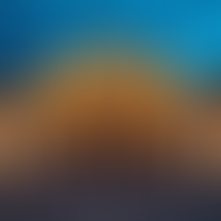 Best Things to Do in Vienna in 2026