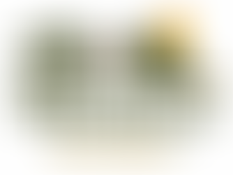 Mranga Tours and Safaris