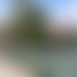 Discover Grad Otočec in Slovenia. A wonderful journey through history