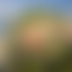 Cities in Slovenia to Visit: A Guide to the Country’s Most Beautiful Towns