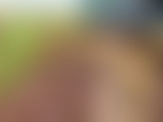 Afriworld Safari-Wildlife, Mountains, Culture, and Coast