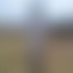 Discover The Unique Mythical Park Rodik: Fantastic Family Adventure