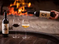 Bordon Wine Estate Experience Positioning in Slovenian Istria