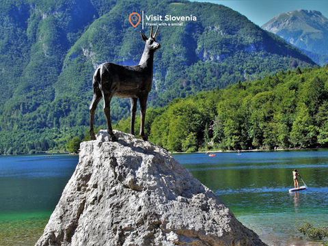 5 Mistakes to Avoid Before Coming to Slovenia: Essential Tips for Travelers