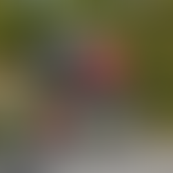 Bike Park Rogla-Why do we all like to go cycling in Rogla the cycling paradise?