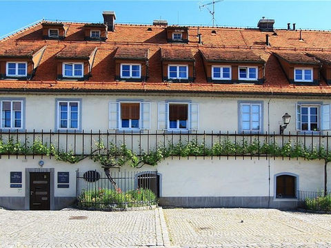 The Old Vine in Maribor: A Must-See for Wine Lovers