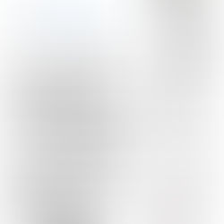 Calendrier des sorties 2025-2026