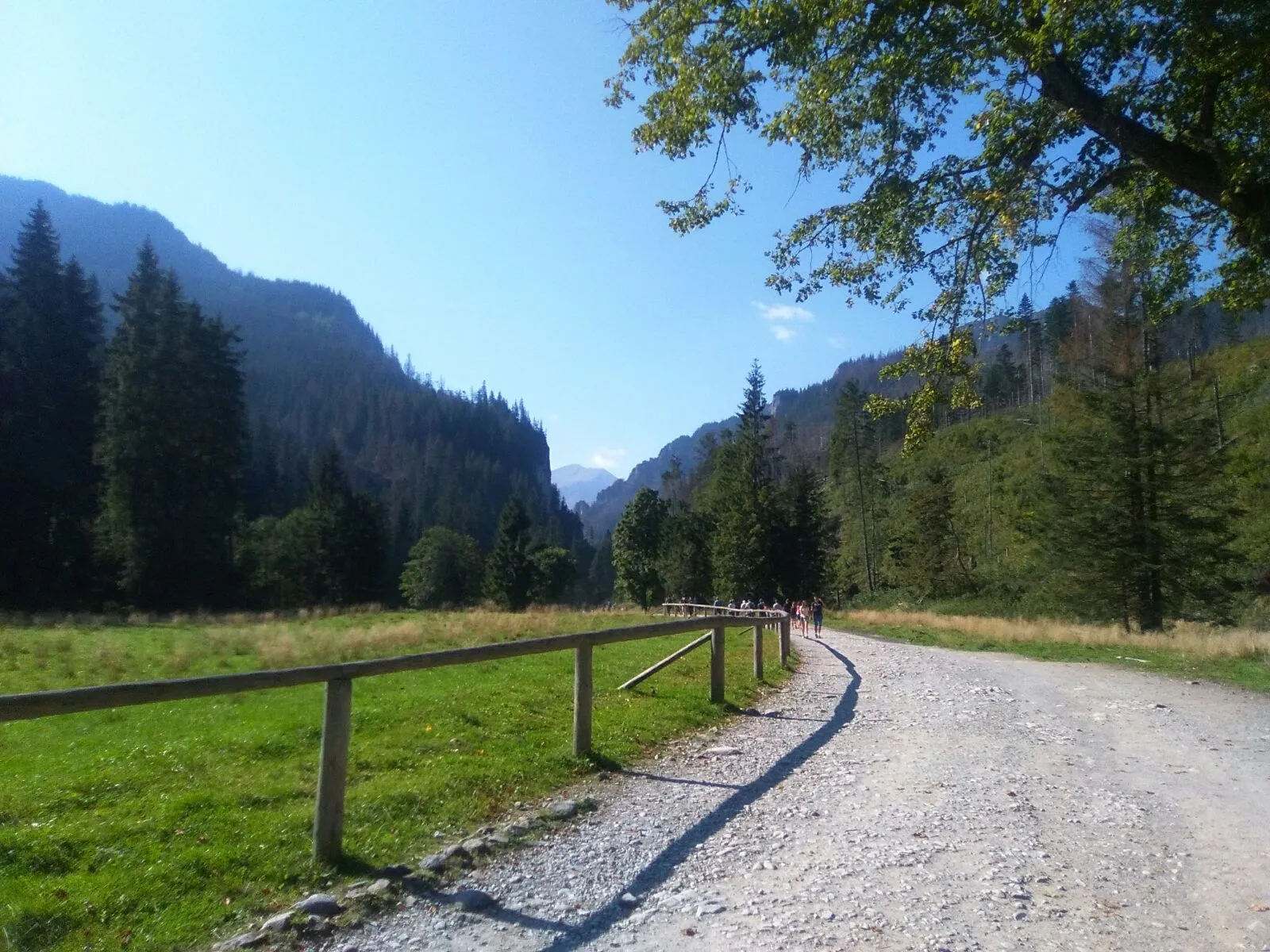 sentiero montagna zakopane polonia
