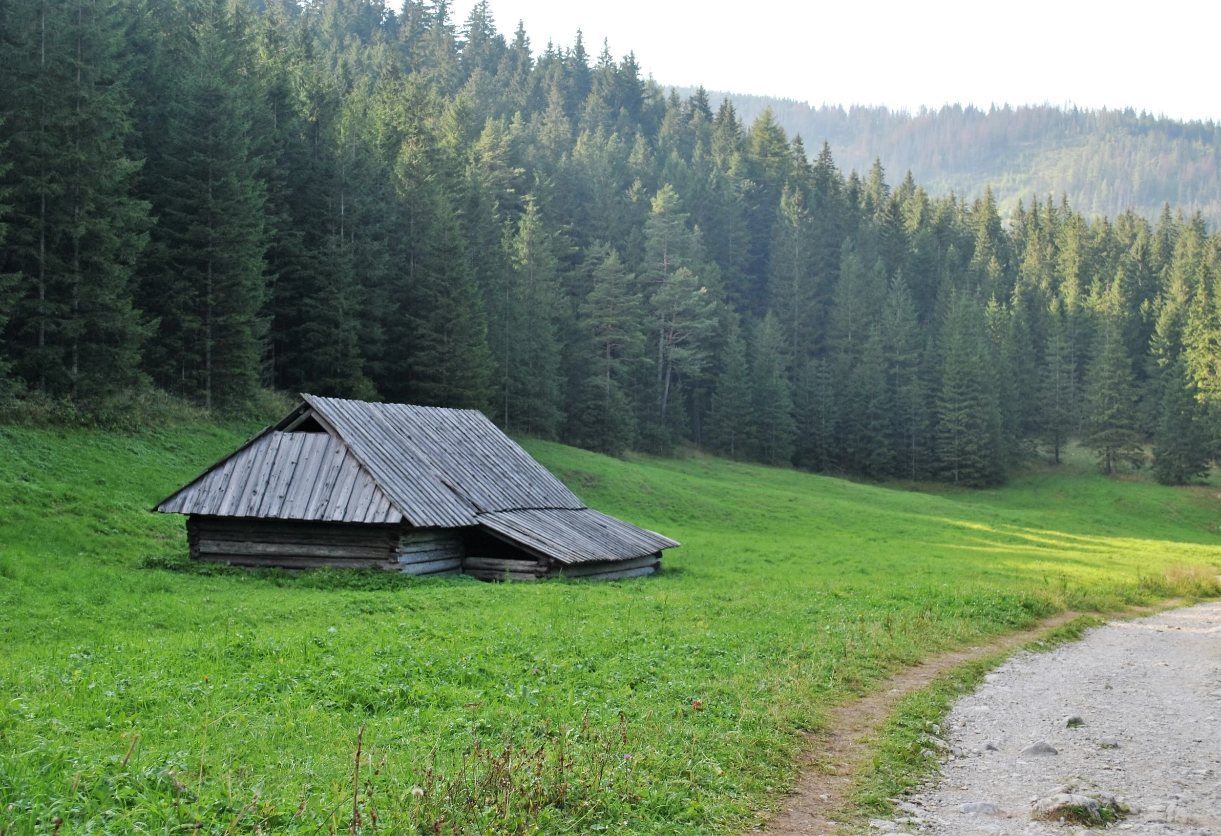 sentiero montagna zakopane polonia