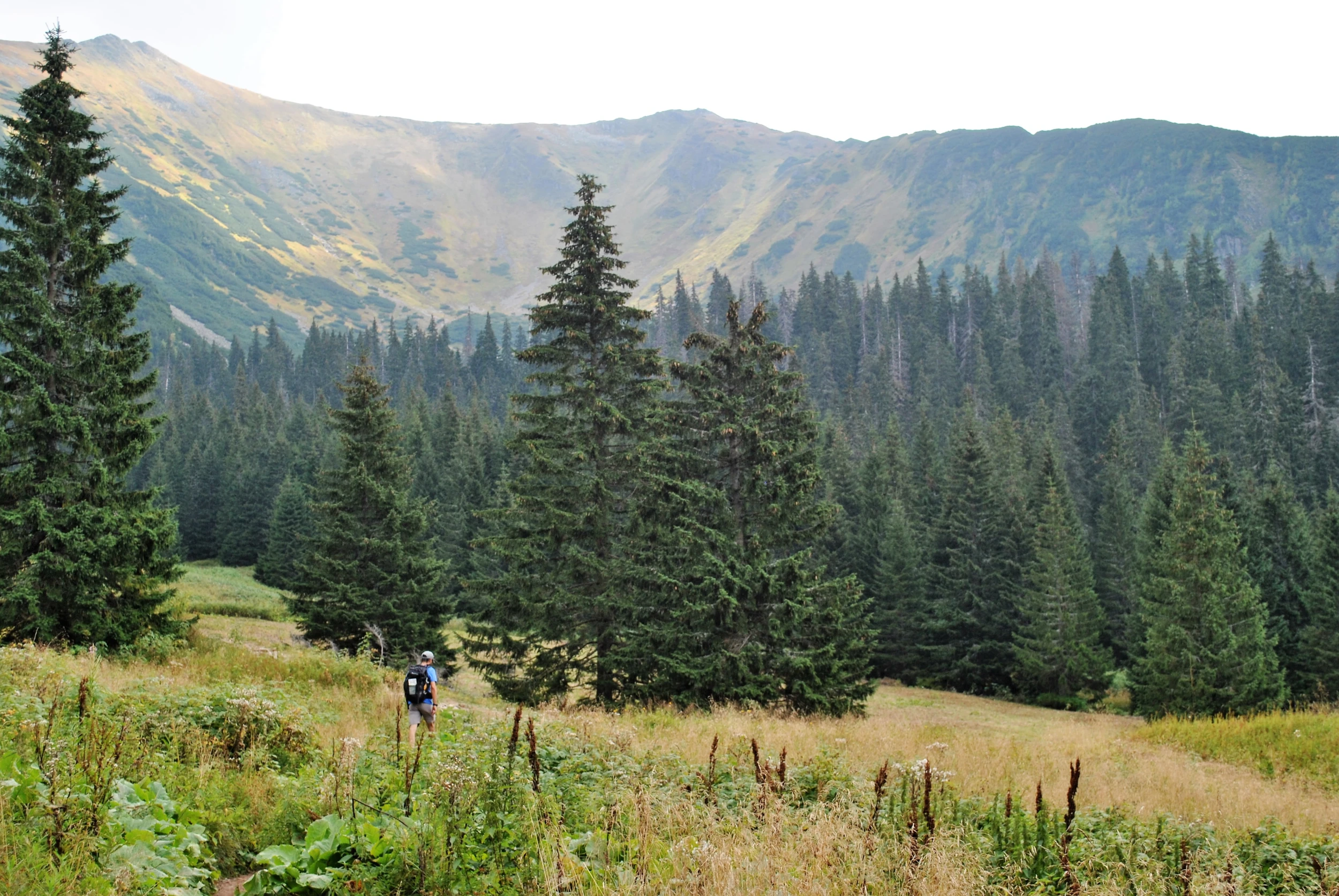 paesaggio montagna zakopane polonia