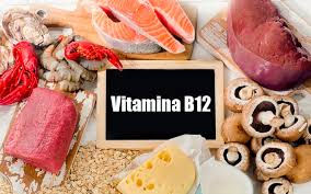 Como se obtiene la Vitamina B12