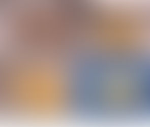 ¿Por que se forman los Cálculos Renales?