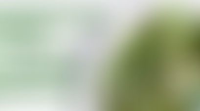 FIBRAS IMPORTANTES PARA EL COLON