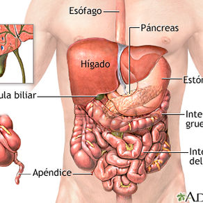 Problemas de Colon o dolores en el estomago?