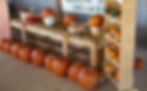 Pumpkin Display