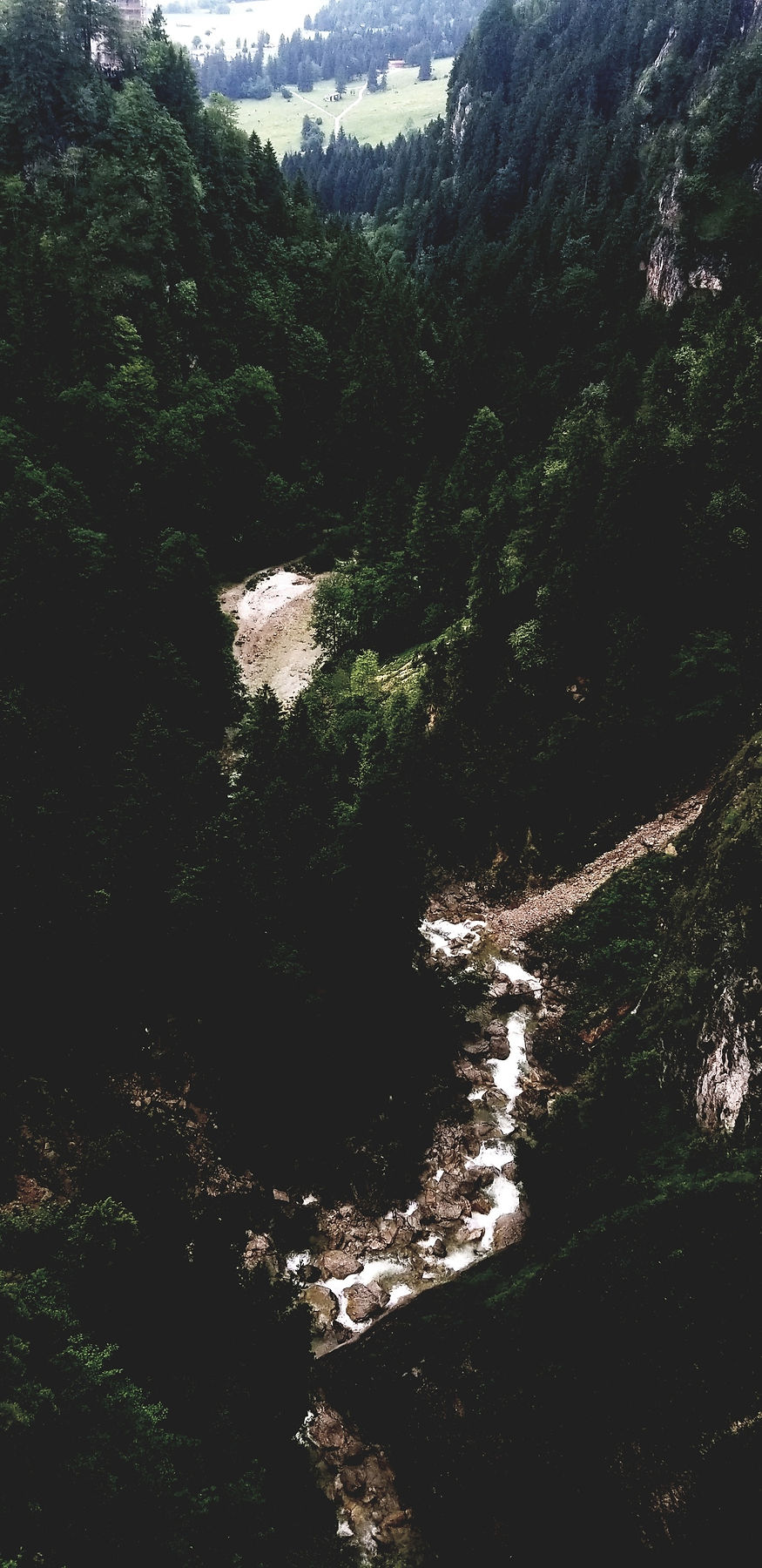 Tiana_Floan Photography3.jpg