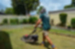 Lawn Mowing Service