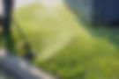 AdobeStock_458398669.jpeg
