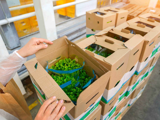 A person opens a box filled with fresh green plants and vegetables, preparing to sort through the contents.