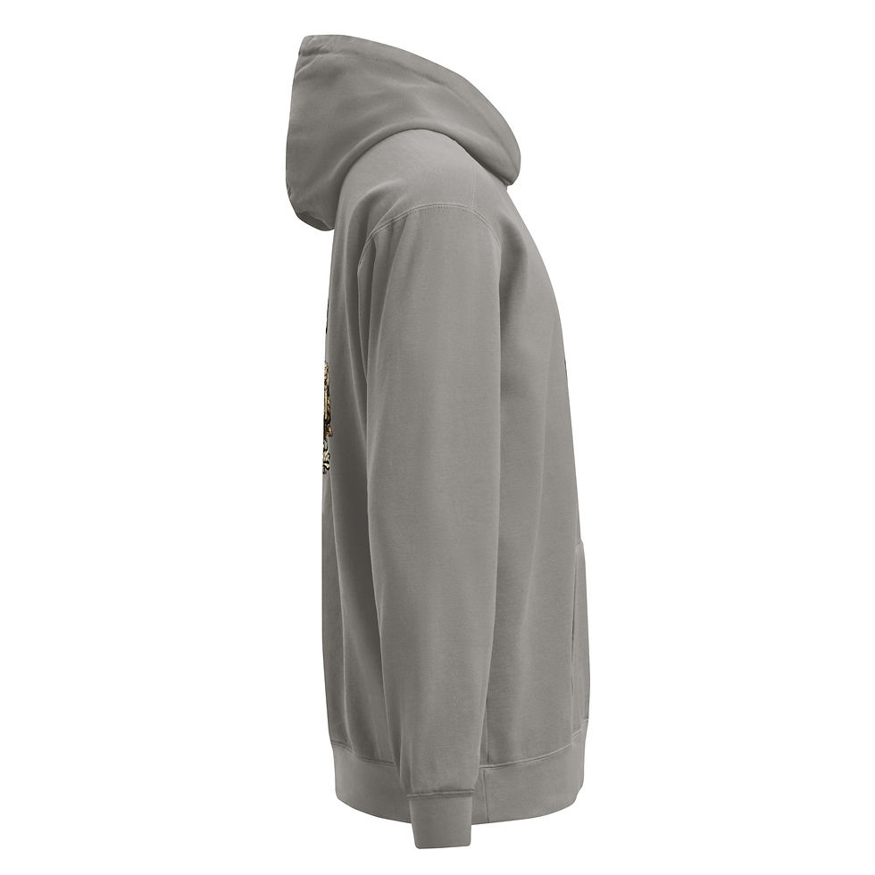 Thumbnail: Trashcan Defense Hoodie