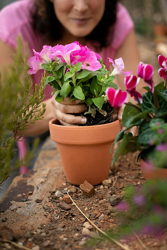 close-up-transplanting-process-plants.jpg