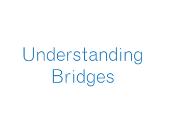 Understanding Bridges in Computer Networks
