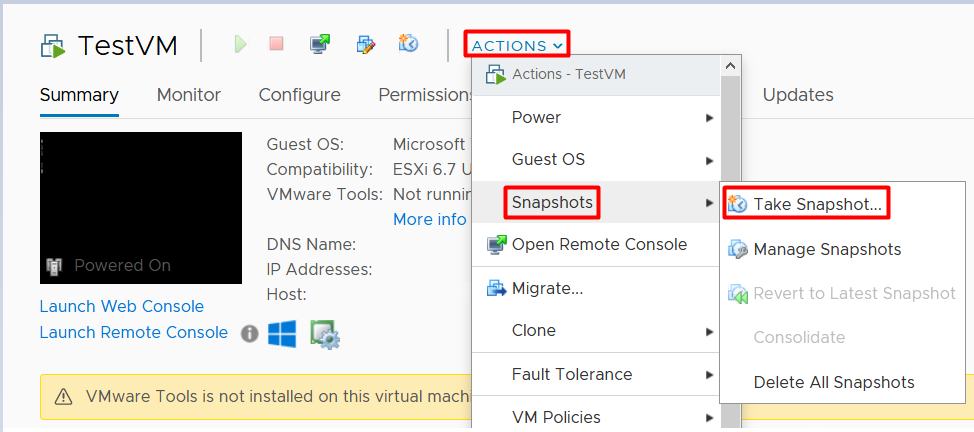 VMware Snapshots