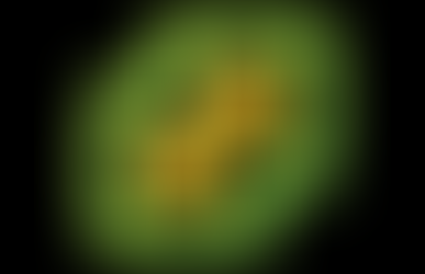 ESXi and vCenter Server Communication