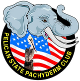 pasted image 0 (29).png