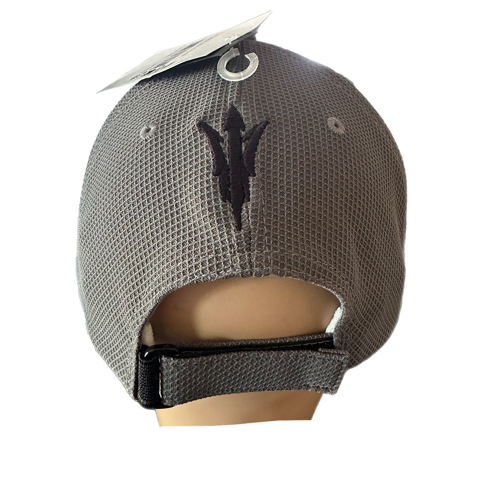 Miniaturbild: RPS Curved Peak Hybrid Cap - Grey