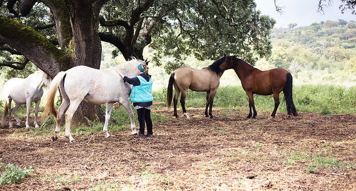 Juuna (31 von 54).jpg