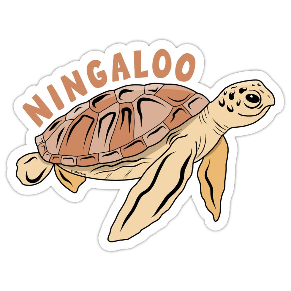 Thumbnail: Ningaloo Stickers