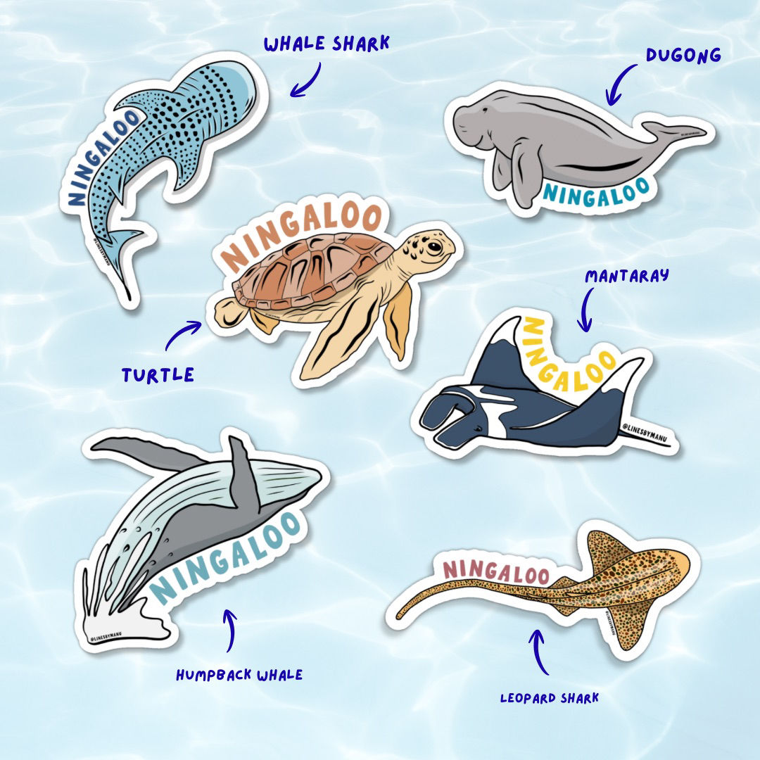 Ningaloo Stickers