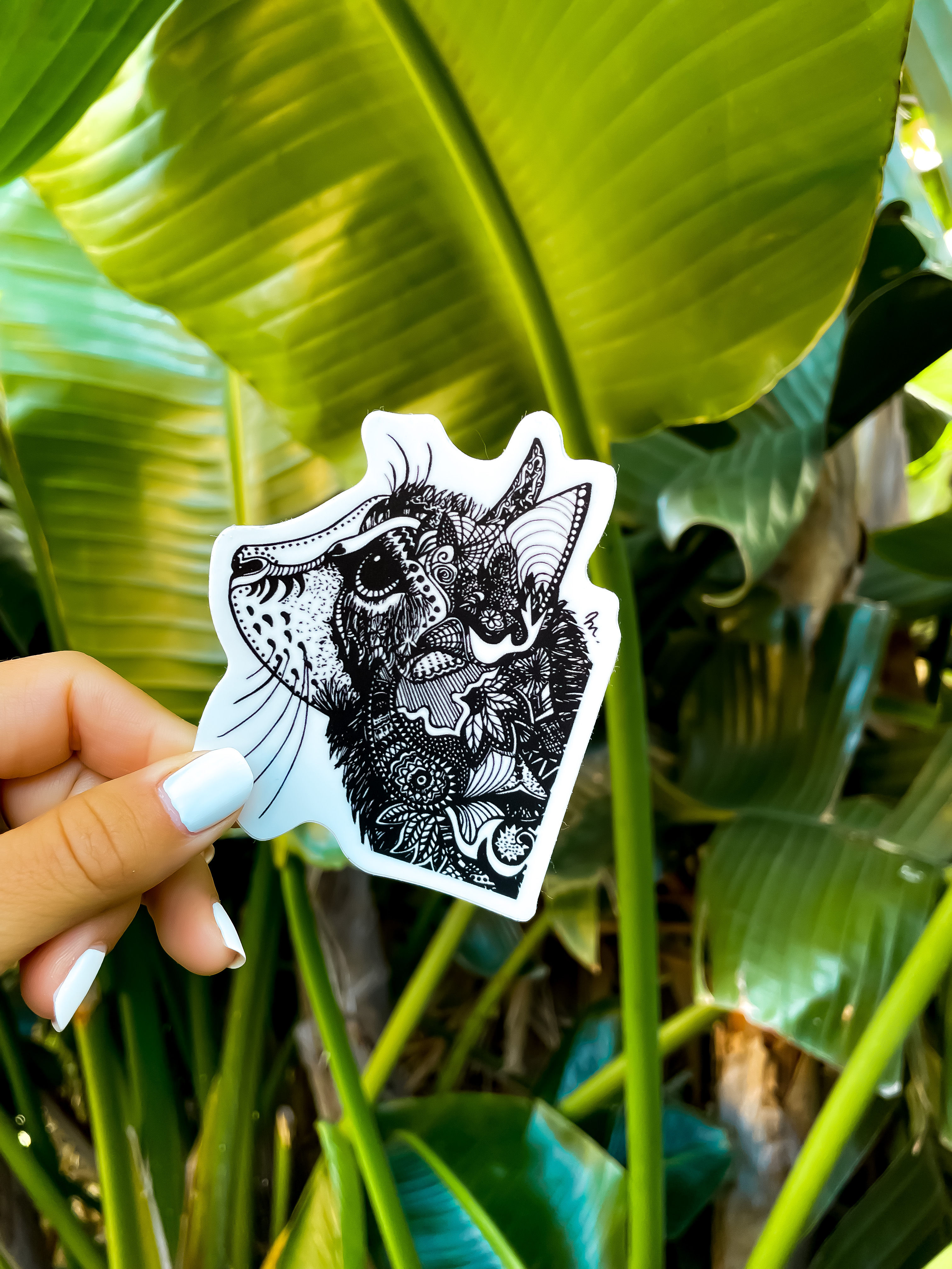 Cat Sticker