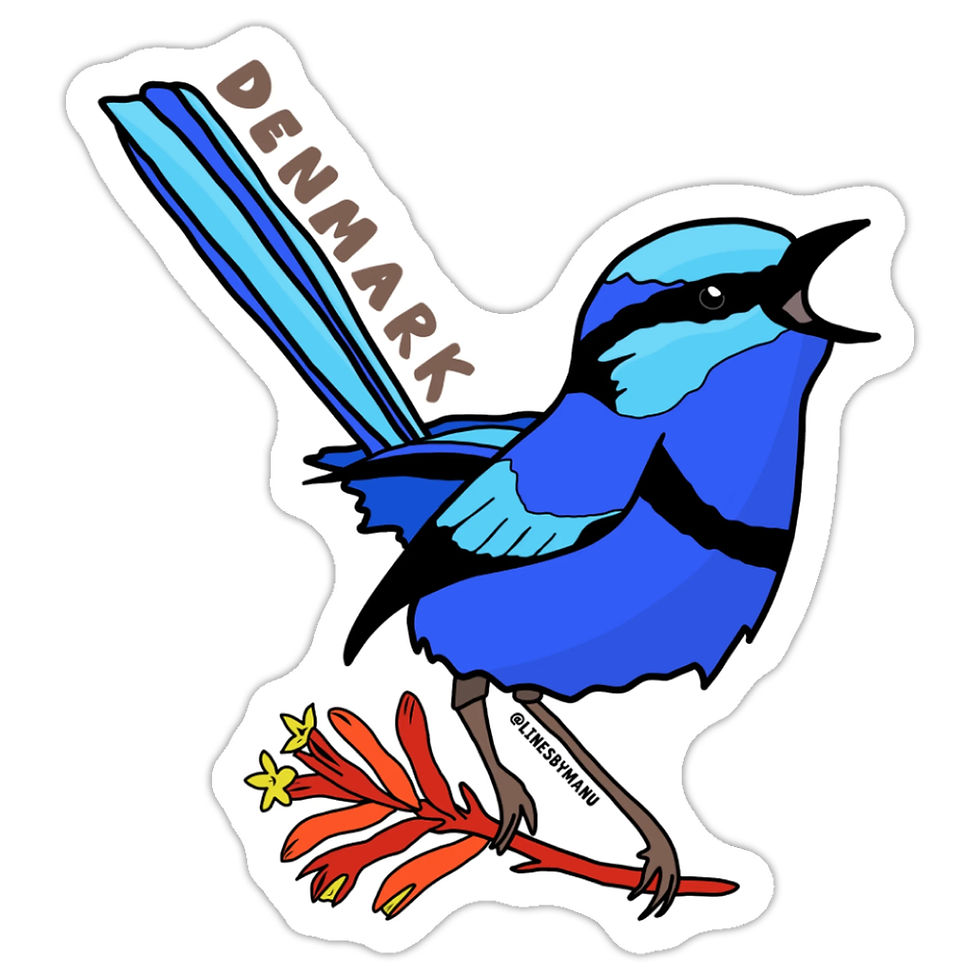 Thumbnail: Splendid Fairy Wren Denmark Sticker 