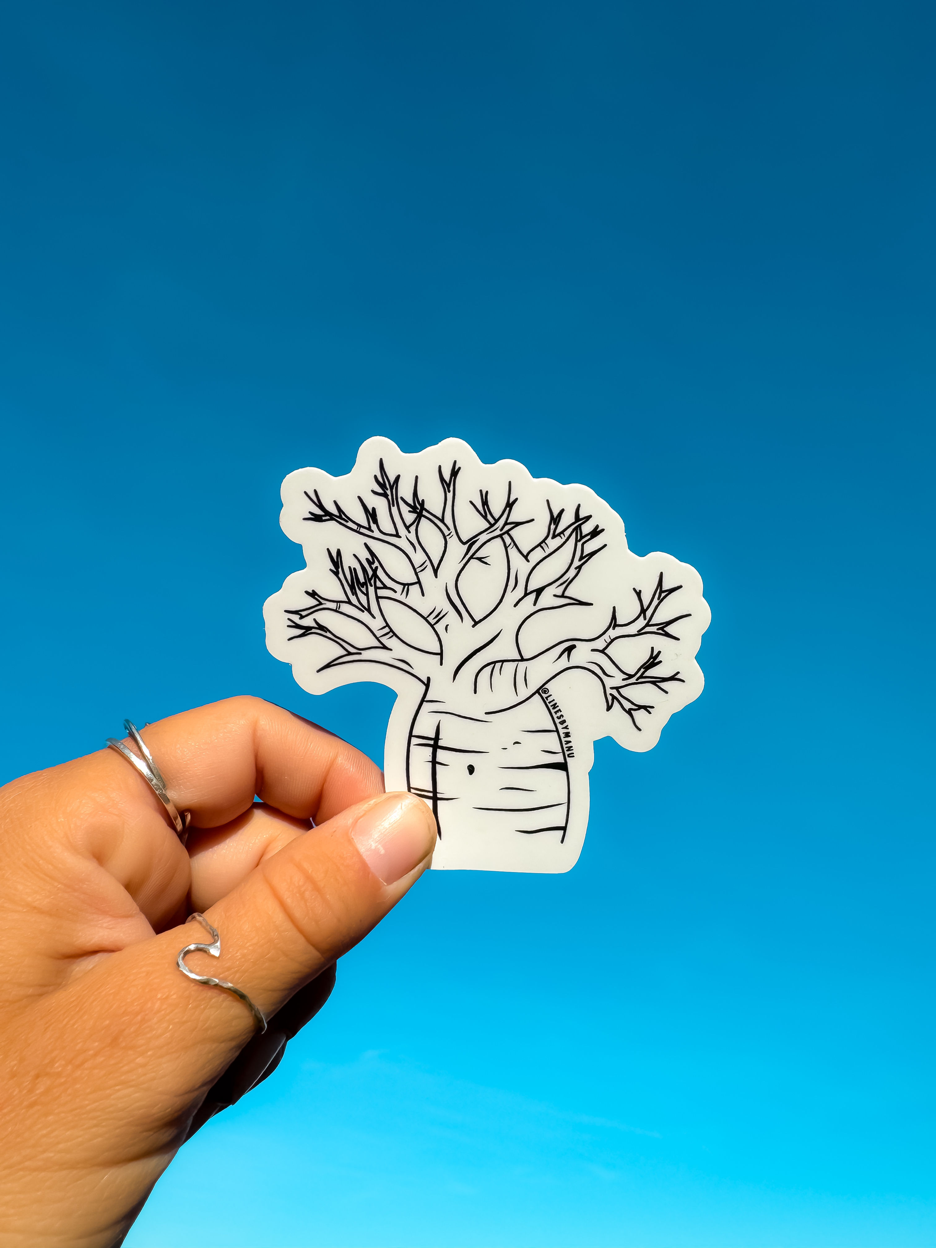 Boab tree sticker